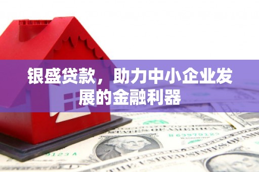 树林银盛贷款，助力中小企业发展的金融利器