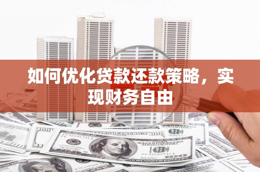 树林如何优化贷款还款策略，实现财务自由