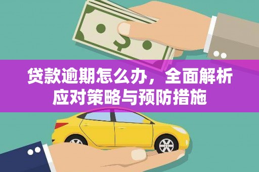 树林贷款逾期怎么办，全面解析应对策略与预防措施