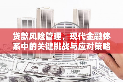 树林贷款风险管理，现代金融体系中的关键挑战与应对策略