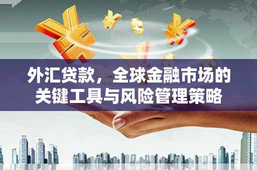 树林外汇贷款，全球金融市场的关键工具与风险管理策略