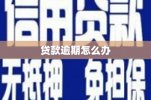 树林贷款逾期怎么办