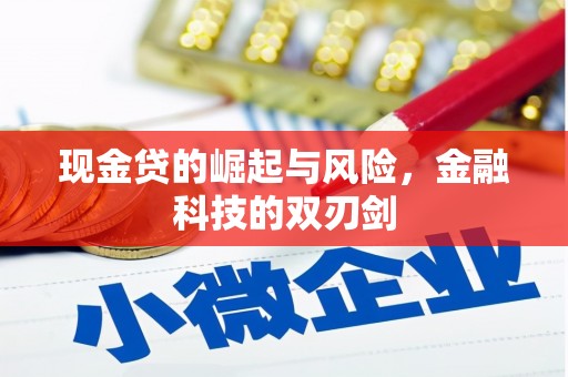树林现金贷的崛起与风险，金融科技的双刃剑