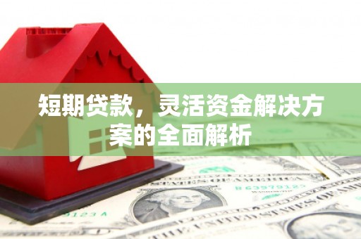 树林短期贷款，灵活资金解决方案的全面解析
