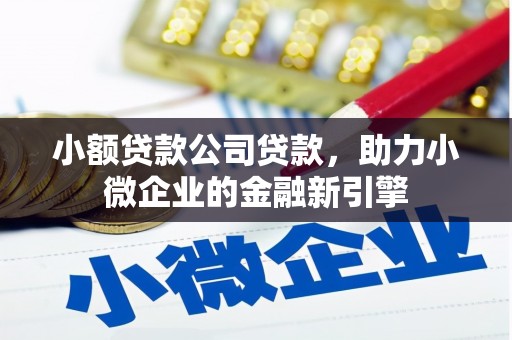 树林小额贷款公司贷款，助力小微企业的金融新引擎