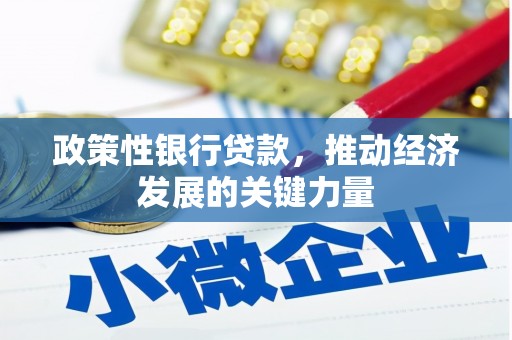 树林政策性银行贷款，推动经济发展的关键力量