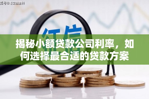 树林揭秘小额贷款公司利率，如何选择最合适的贷款方案