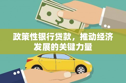 树林政策性银行贷款，推动经济发展的关键力量