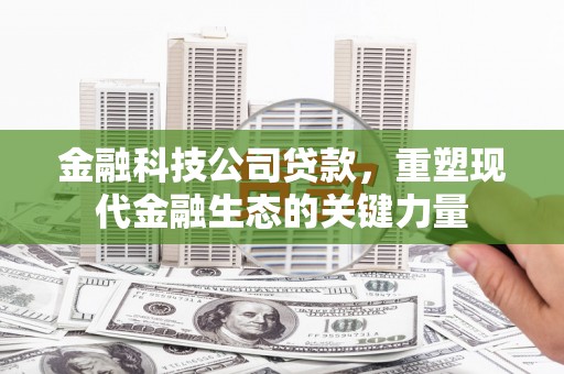 树林金融科技公司贷款，重塑现代金融生态的关键力量