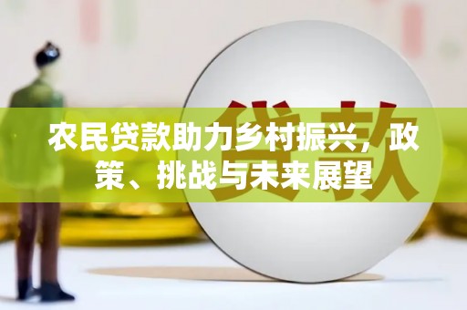 树林农民贷款助力乡村振兴，政策、挑战与未来展望