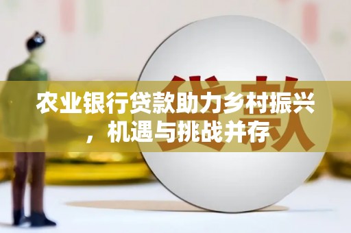 树林农业银行贷款助力乡村振兴，机遇与挑战并存