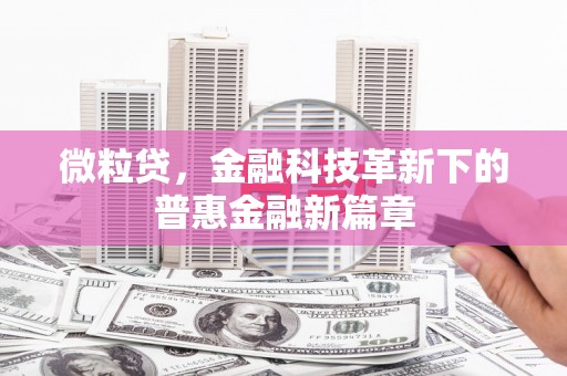 树林微粒贷，金融科技革新下的普惠金融新篇章