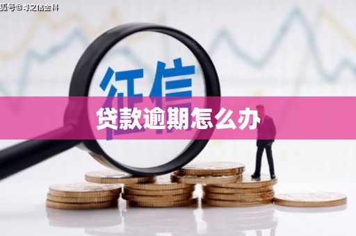 树林贷款逾期怎么办