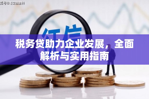 树林税务贷助力企业发展，全面解析与实用指南