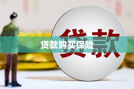 树林贷款购买保险