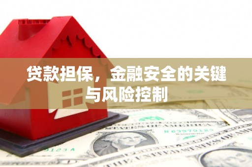 树林贷款担保，金融安全的关键与风险控制