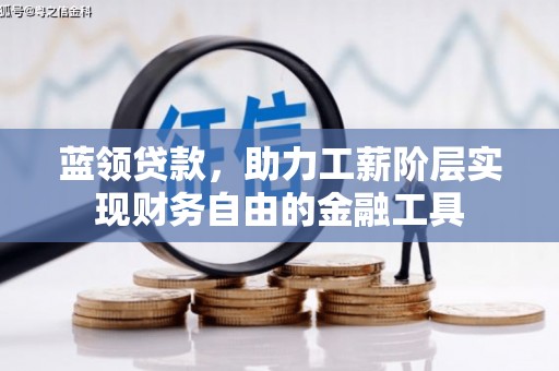 树林蓝领贷款，助力工薪阶层实现财务自由的金融工具