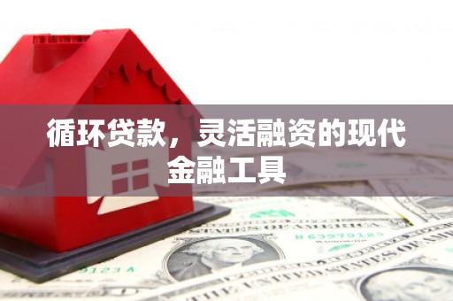 树林循环贷款，灵活融资的现代金融工具