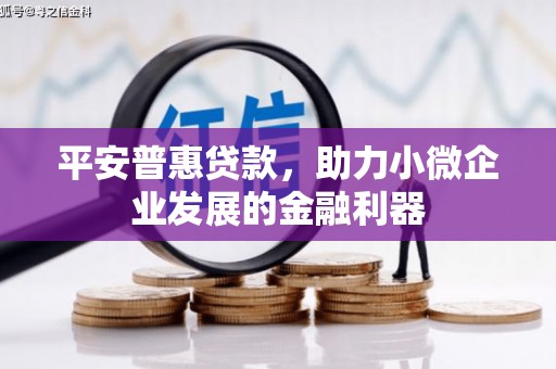树林平安普惠贷款，助力小微企业发展的金融利器
