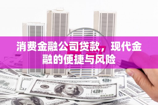 树林消费金融公司贷款，现代金融的便捷与风险