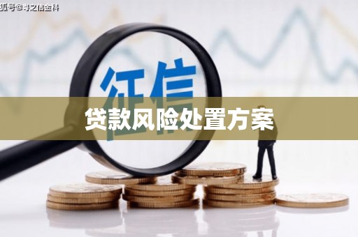 树林贷款风险处置方案