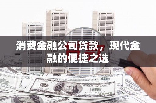 树林消费金融公司贷款，现代金融的便捷之选