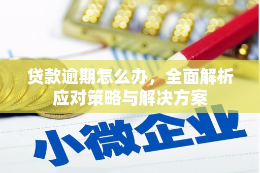 树林贷款逾期怎么办，全面解析应对策略与解决方案