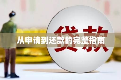 树林从申请到还款的完整指南