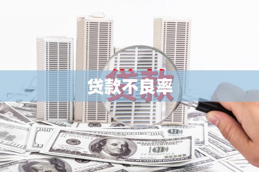 树林贷款不良率