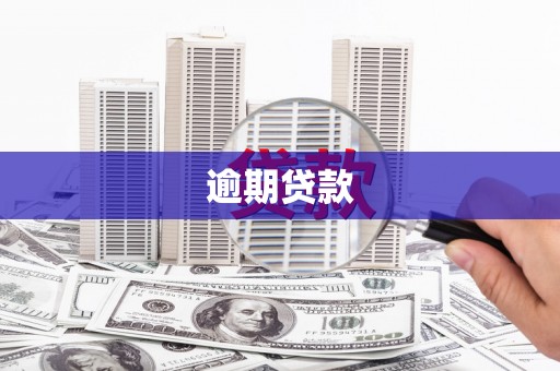 树林逾期贷款