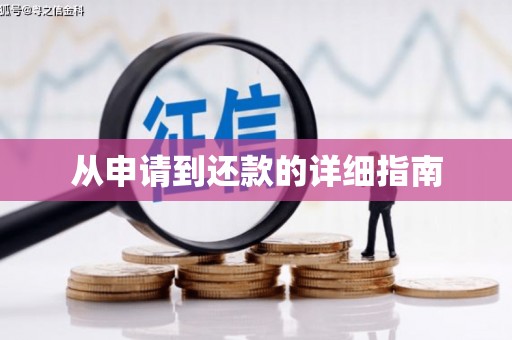树林从申请到还款的详细指南