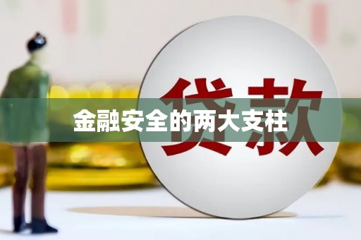 树林金融安全的两大支柱