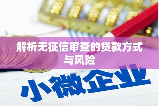 树林解析无征信审查的贷款方式与风险