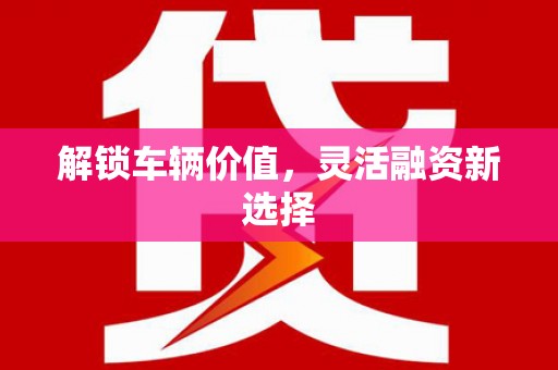树林解锁车辆价值，灵活融资新选择