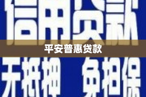 树林平安普惠贷款