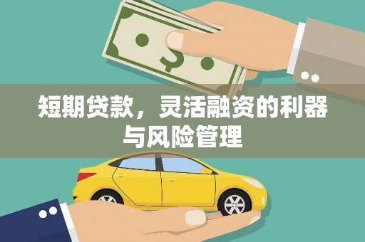 树林短期贷款，灵活融资的利器与风险管理