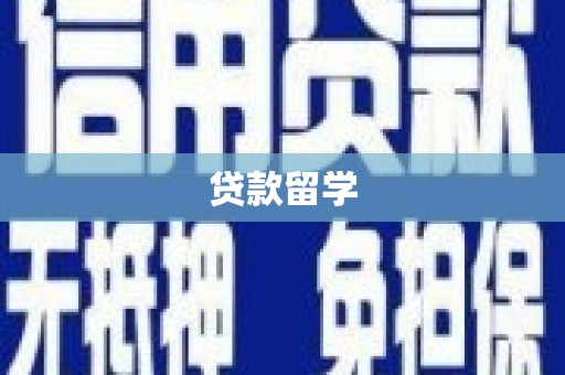 树林贷款留学